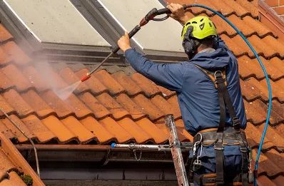 Démoussage et hydrofuge de toiture à Saint-Romain